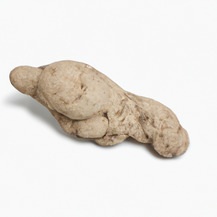 Конжак (Konjac Root)