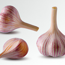 Экстракт Чеснока (Garlic Extract)