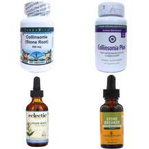 Коллінзонія