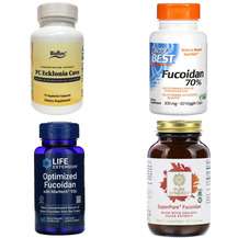 Водоросли (Algae)