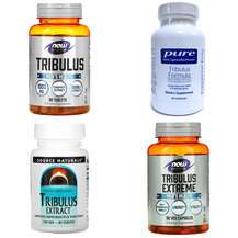 Что такое Трибулус, где купить? Что такое Трибулус, где купить?