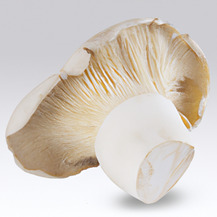 Гриби Еринги