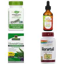 Хвощ польовий