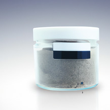 Бифидобактерии