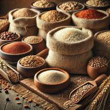 Зернові культури (Grain)