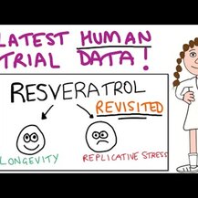 NutraChamps, Resveratrol 1200 mg