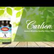Відео огляд на Carlson, Vitamin A 25000 IU, Вітамін А Ретінол, 300 капсул