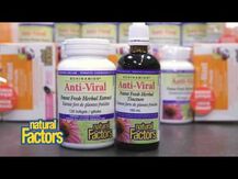 Natural Factors, Поддержка иммунитета, Anti-V Formula, 100 мл
