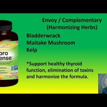 Crystal Star, Fibro Defense