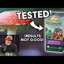 Host Defense Mushrooms, Stamets 7 Mushroom Mycelium Powder Daily Immune Support 3