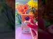 Видео обзор на Garden of Life, Витамин C, Vitamin Code RAW Vitamin C, 60 капсул