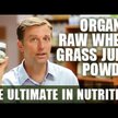Відео огляд на Wheatgrass Juice Powder Lemon, Паростки пшениці Вітграсс, 164 г