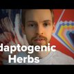 Відео огляд на Herb Pharm, Rhodiola, Родіола, 30 мл