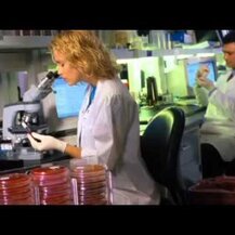 Life Extension, Super Ubiquinol CoQ10 100 mg