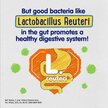 Видео обзор на Vitamatic, Лактобактерии Реутери, Lactobacillus Reuteri, 100 г