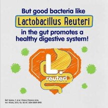 Vitamatic, Лактобактерии Реутери, Lactobacillus Reuteri, 100 г