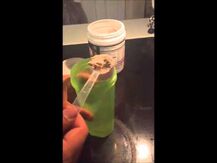 Протеин Веганский, Clean Lean Protein Powder Real Coffee Flavo...