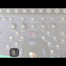 Christopher's Original Formulas, Bladder Formula 475 mg Each