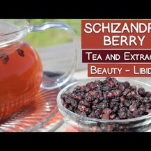 Dragon Herbs, Schizandra 500 mg