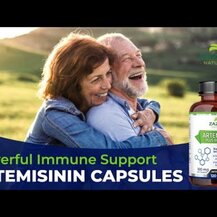 Zazzee Naturals, Artemisinin Plus BioPerine