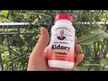Відео огляд на Kidney Formula 475 mg, Підтримка здоров'я нирок 475 мг, 100 