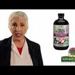 Видео обзор на B-комплекс, Liquid Vitamin B-Complex Great Tasting Tangerine, 480