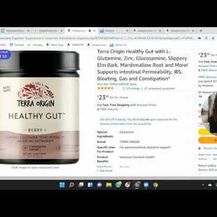 Terra Origin, Поддержка кишечника, Healthy Gut Honey Lemon, 232 г