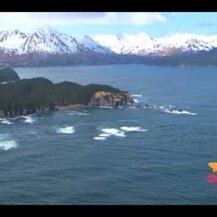 New Chapter, Wholemega For Moms 500 mg