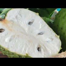 Nordic Naturals, Ultimate Omega Tropical Fruit 600 mg