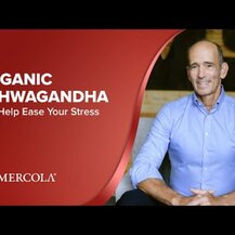 Dr. Mercola, Ashwagandha, Ашваганда, 60 капсул