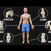 Life Extension, Joint Mobility