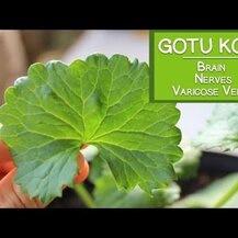 Nature's Way, Gotu Kola Herb 475 mg