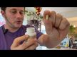 Відео огляд на Double Wood Supplements, Dihydro Berberine 100 mg, Берберин, 60 к