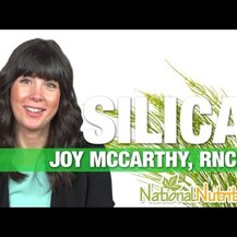 World Organic, Silica 500