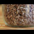 Видео обзор на Грибы Львиная грива, Mushroom Lion's Mane Mycelium Powder, 1