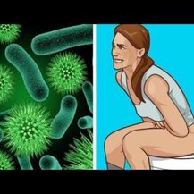 Belle+Bella, Probiology Skin Therapy