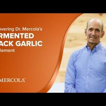 Dr. Mercola, Fermented Black Garlic