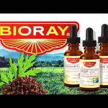 Обзор на Bioray, Полынь и Гвоздика, Artemisia & Clove, 59 мл Bioray, Artemisia & Clove