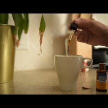 Herb Pharm, Kids Organic Lemon Balm Calm Alcohol Free