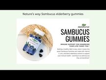 Nature's Way, Sambucus Elderberry Drops, Чорна Бузина, 30 мл
