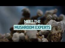 Грибы, Master Blend Mushroom Gummies Mixed Berry Flavored, 56 ...