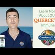 Видео обзор на Кверцетин 500 мг Безводный, Quercetin Immune, 30 таблеток