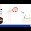 Відео огляд на Pure Encapsulations, CholestePure, Підтримка холестерину, 180 кап