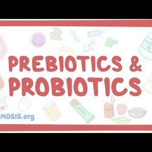 Seeking Health, ProBiota Bifido