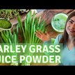 Відео огляд на Vimergy, Barley Grass Juice Powder, Ячмінь, 240 капсул