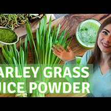Vimergy, Barley Grass Juice Powder, Ячмінь, 240 капсул