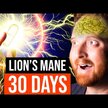 Видео обзор на Host Defense Mushrooms, Грибы Львиная грива, Lion's Mane, 30