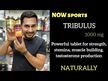 Видео обзор на NOW, Трибулус 500 мг, Tribulus 500 mg, 100 капсул