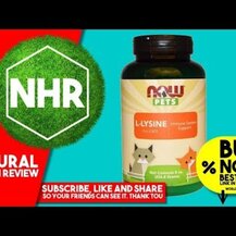 NOW, Лизин для кошек, Pets L-Lysine for Cats, 226.8 г