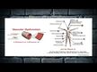 Відео огляд на Cholesterol Health Formula 104, Підтримка холестерину, 300 капсул